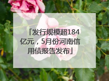 发行规模超184亿元，5月份河南信用债报告发布