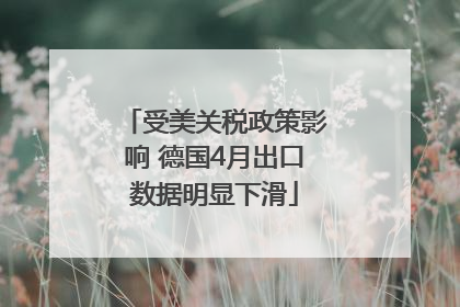 受美关税政策影响 德国4月出口数据明显下滑