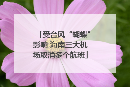 受台风“蝴蝶”影响 海南三大机场取消多个航班