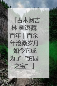 古木阅吉林 树语藏百年｜百余年沧桑岁月 如今它成为了“镇园之宝”