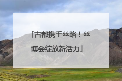 古都携手丝路！丝博会绽放新活力