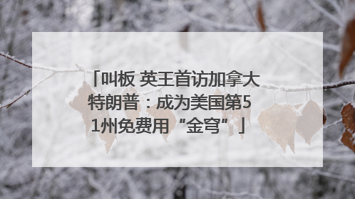 叫板 英王首访加拿大 特朗普：成为美国第51州免费用“金穹”