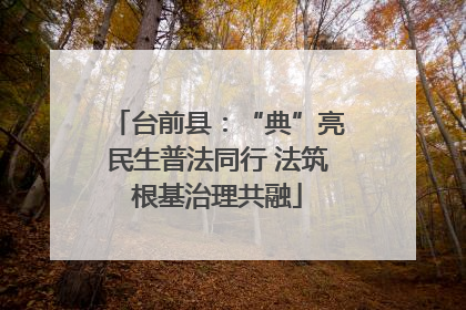 台前县：“典”亮民生普法同行 法筑根基治理共融