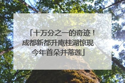 十万分之一的奇迹！成都新都升庵桂湖惊现今年首朵并蒂莲