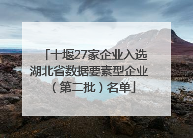 十堰27家企业入选湖北省数据要素型企业（第二批）名单