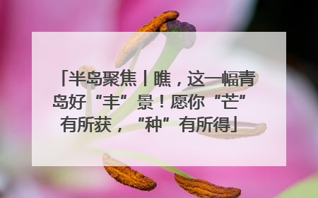 半岛聚焦丨瞧，这一幅青岛好“丰”景！愿你“芒”有所获，“种”有所得