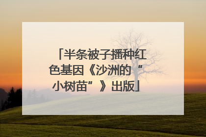 半条被子播种红色基因《沙洲的“小树苗”》出版