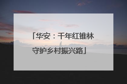 华安：千年红锥林守护乡村振兴路