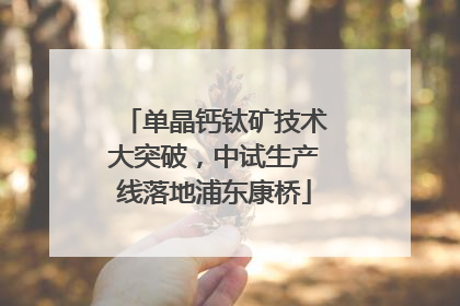 单晶钙钛矿技术大突破，中试生产线落地浦东康桥