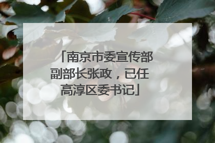 南京市委宣传部副部长张政，已任高淳区委书记