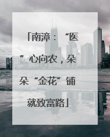 南漳：“医”心向农，朵朵“金花”铺就致富路