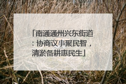 南通通州兴东街道：协商议事聚民智，清淤备耕惠民生