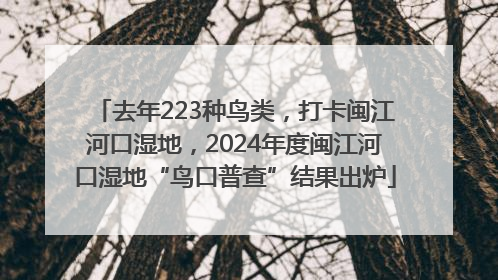 去年223种鸟类，打卡闽江河口湿地，2024年度闽江河口湿地“鸟口普查”结果出炉