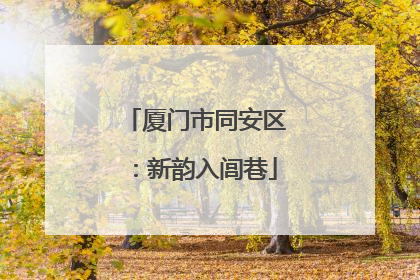 厦门市同安区：新韵入闾巷