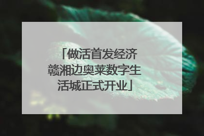 做活首发经济 赣湘边奥莱数字生活城正式开业