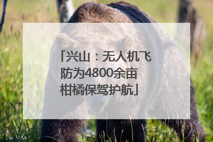 兴山：无人机飞防为4800余亩柑橘保驾护航