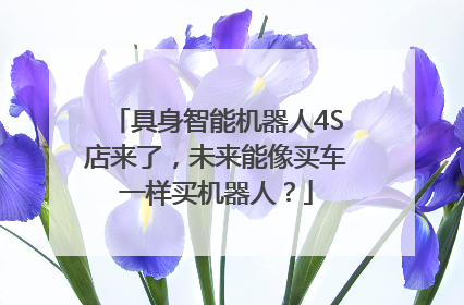 具身智能机器人4S店来了，未来能像买车一样买机器人？