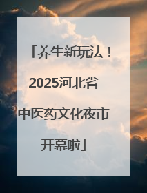 养生新玩法！2025河北省中医药文化夜市开幕啦