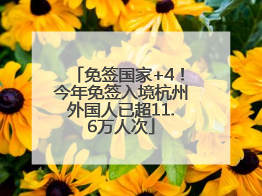 免签国家+4！今年免签入境杭州外国人已超11.6万人次