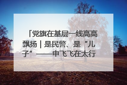 党旗在基层一线高高飘扬｜是民警、是“儿子”——申飞飞在太行山中的一线坚守