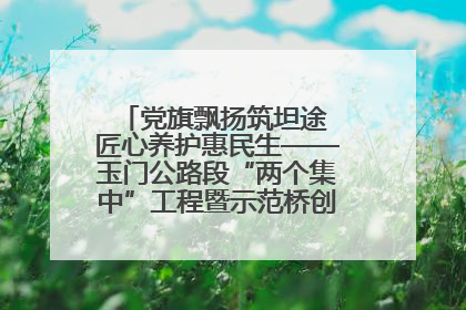 党旗飘扬筑坦途 匠心养护惠民生——玉门公路段“两个集中”工程暨示范桥创建项目圆满收官