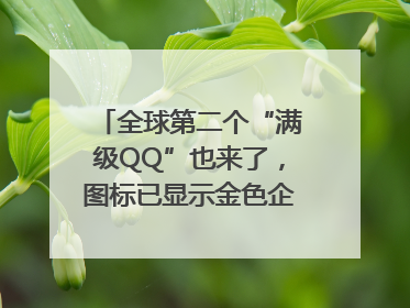 全球第二个“满级QQ”也来了，图标已显示金色企鹅，系首个“满级QQ”的小号