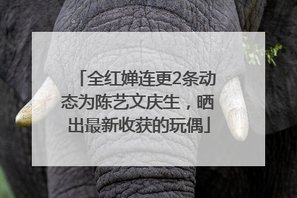 全红婵连更2条动态为陈艺文庆生，晒出最新收获的玩偶
