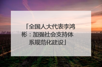 全国人大代表李鸿彬：加强社会支持体系规范化建设