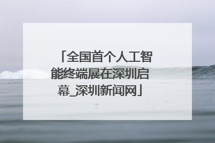 全国首个人工智能终端展在深圳启幕_深圳新闻网