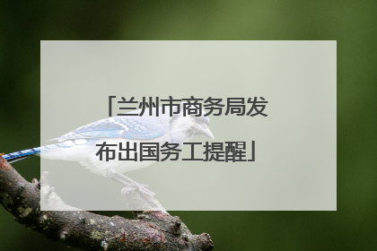 兰州市商务局发布出国务工提醒