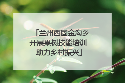 兰州西固金沟乡开展果树技能培训 助力乡村振兴