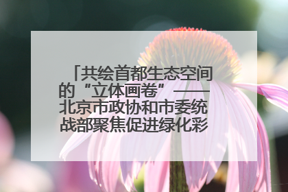 共绘首都生态空间的“立体画卷”——北京市政协和市委统战部聚焦促进绿化彩化美化生态空间建设联合协商议政