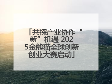 共探产业协作“新”机遇 2025金熊猫全球创新创业大赛启动