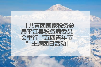 共青团国家税务总局平江县税务局委员会举行“五四青年节”主题团日活动