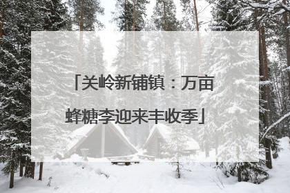 关岭新铺镇：万亩蜂糖李迎来丰收季