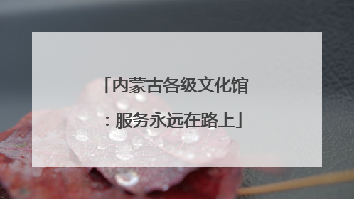 内蒙古各级文化馆：服务永远在路上