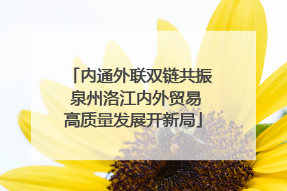 内通外联双链共振 泉州洛江内外贸易高质量发展开新局