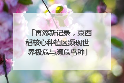 再添新记录，京西稻核心种植区频现世界极危与濒危鸟种
