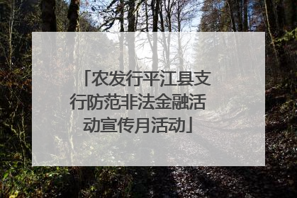 农发行平江县支行防范非法金融活动宣传月活动
