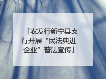 农发行新宁县支行开展“民法典进企业”普法宣传