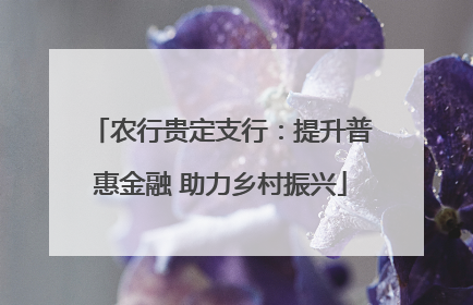 农行贵定支行：提升普惠金融 助力乡村振兴