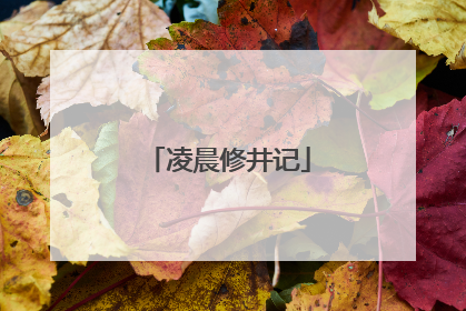 凌晨修井记