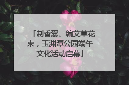制香囊、编艾草花束，玉渊潭公园端午文化活动启幕