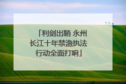 利剑出鞘 永州长江十年禁渔执法行动全面打响