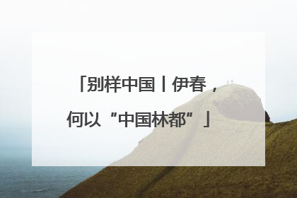 别样中国丨伊春，何以“中国林都”