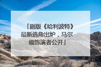 剧版《哈利波特》最新选角出炉，马尔福饰演者公开