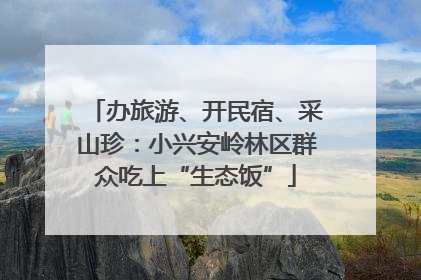 办旅游、开民宿、采山珍：小兴安岭林区群众吃上“生态饭”
