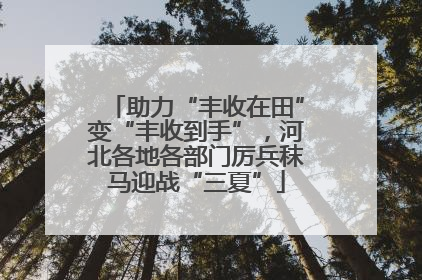 助力“丰收在田”变“丰收到手”，河北各地各部门厉兵秣马迎战“三夏”