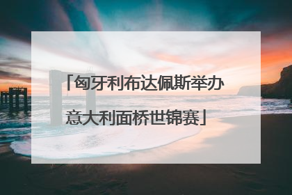匈牙利布达佩斯举办意大利面桥世锦赛
