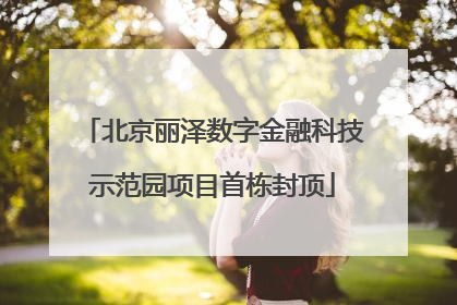 北京丽泽数字金融科技示范园项目首栋封顶